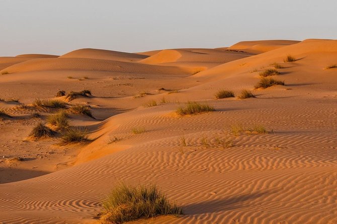 Desert Safari Sharing Tours - Lunch with Omani flavors
