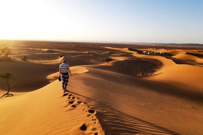 Desert Safari With BBQ Dinner, Quad Ride And And Sand-boarding - Arabic coffee and dinner at the desert camp