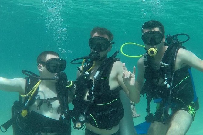 Discover Scuba Diving in Dubai - Quick points before you book