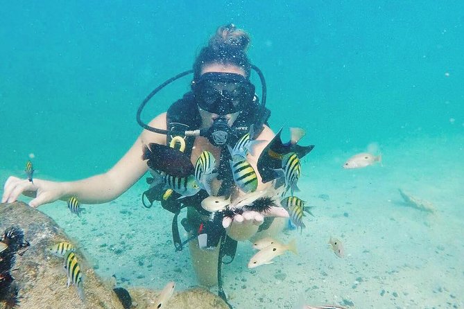 Discover Scuba Diving in Dubai - The instructors make or break the experience