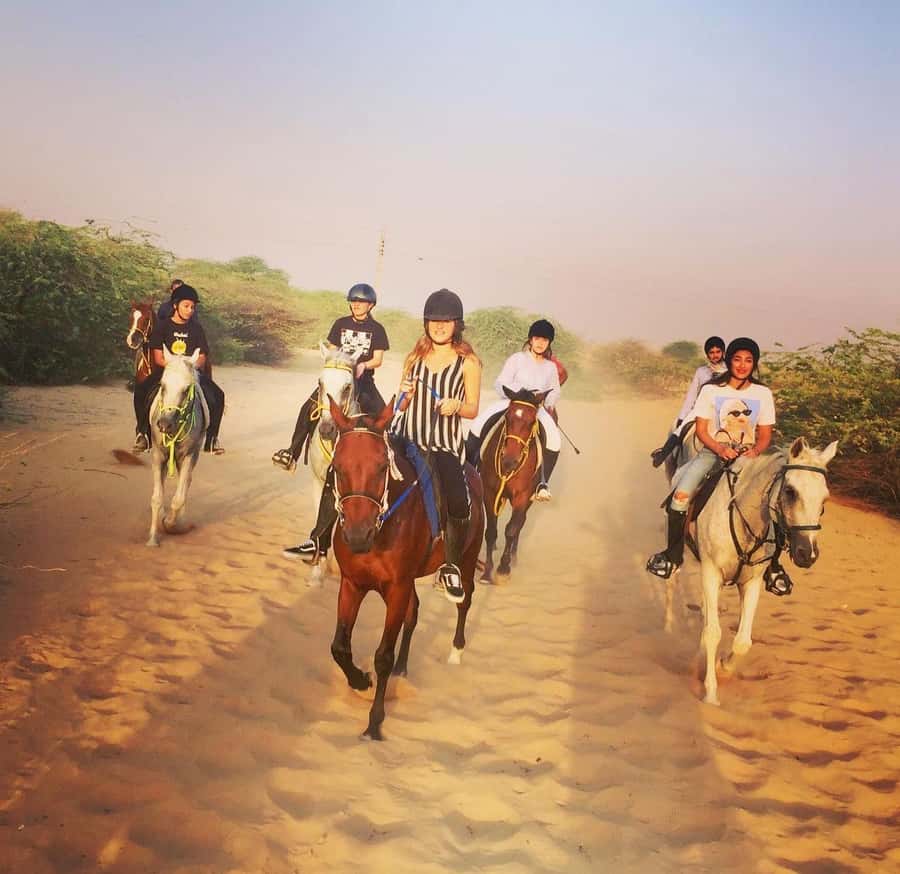 Doha : Arabian Horse Ride Experience With Pickup & Drop Off - Key points at a glance