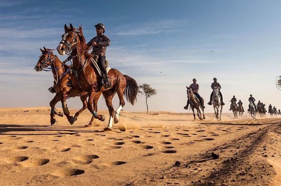 Doha : Arabian Horse Ride Experience With Pickup & Drop Off - Riding from Doha into the Al Wakrah desert