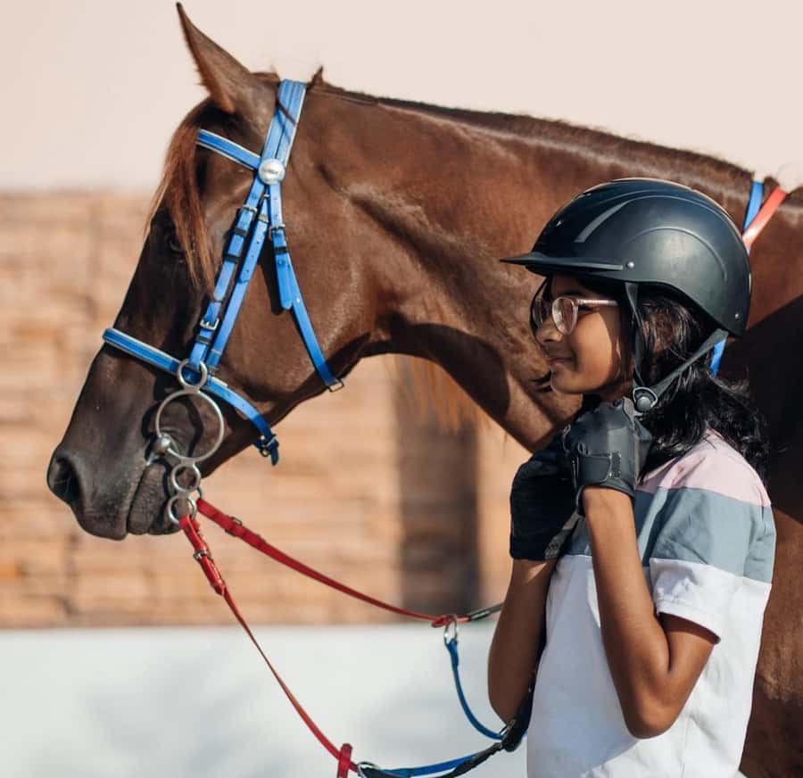 Doha : Arabian Horse Ride Experience With Pickup & Drop Off - Across the sand at your own pace