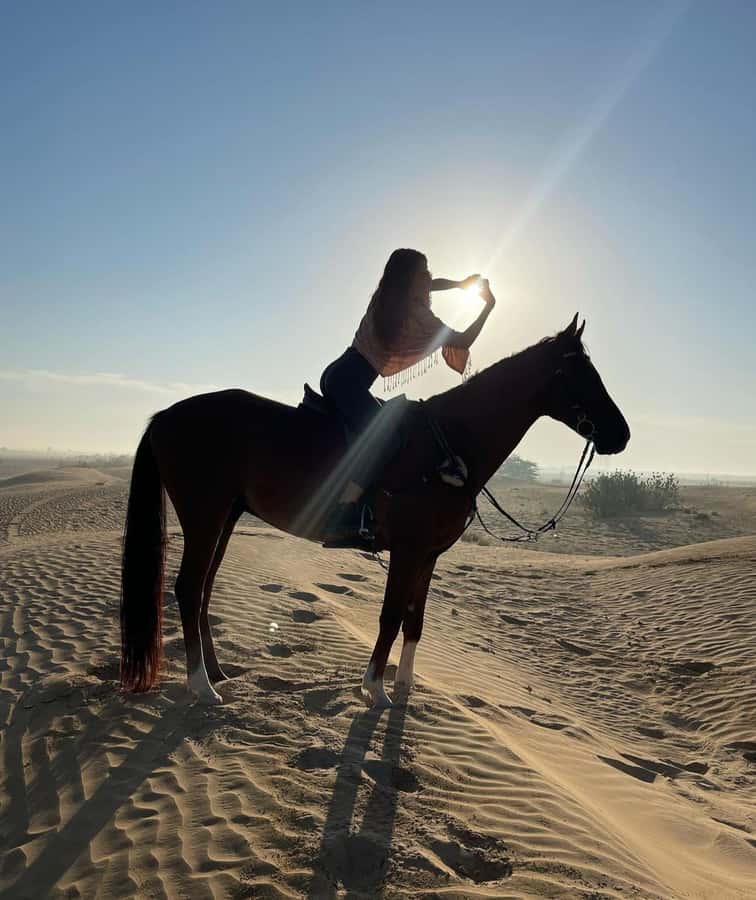 Doha : Arabian Horse Ride Experience With Pickup & Drop Off - Who will enjoy this ride most