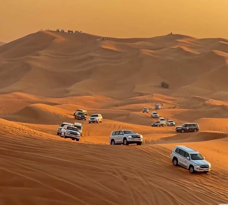 Doha : Arabian Horse Ride Experience With Pickup & Drop Off - Why Yasir and Tariq matter to the experience