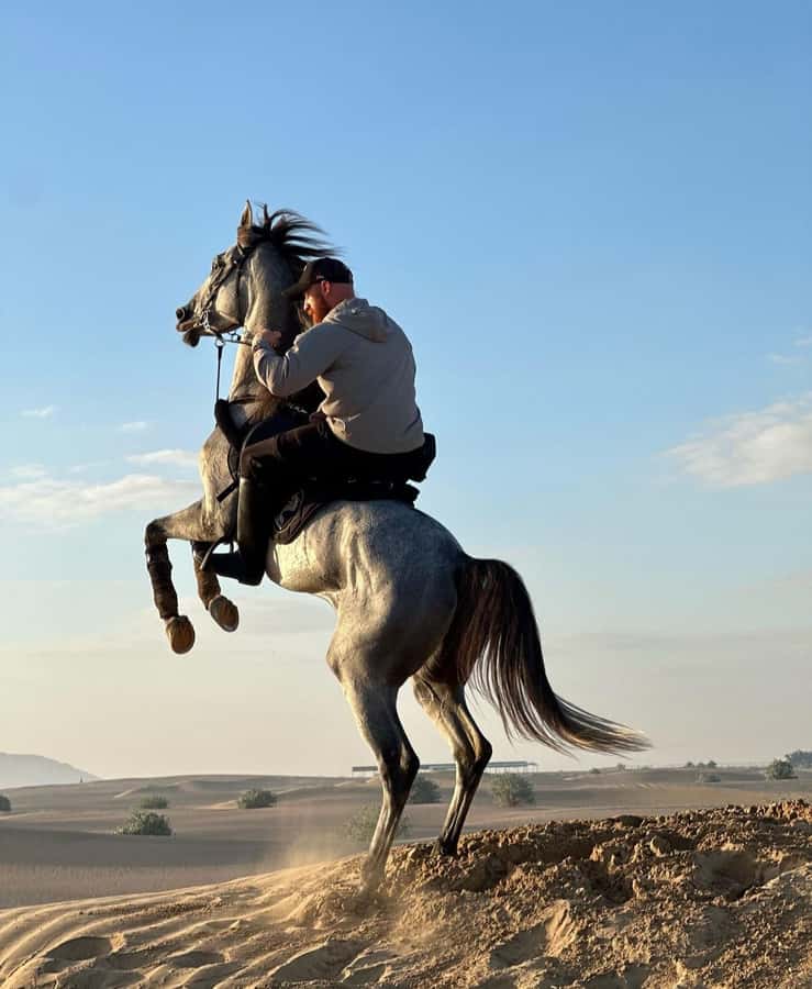 Doha : Arabian Horse Ride Experience With Pickup & Drop Off - Should you book this Arabian horse ride?