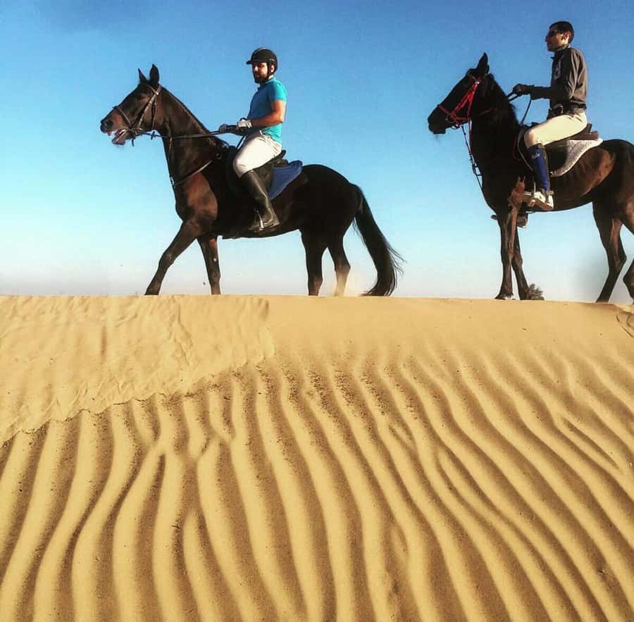Doha : Arabian Horse Ride Experience With Pickup & Drop Off - Meeting your horse and getting comfortable in the saddle