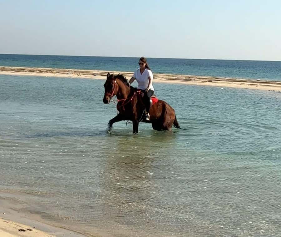 Doha: Arabian Horse Riding Experience –Sea or Desert Options - Desert riding near Mesaieed