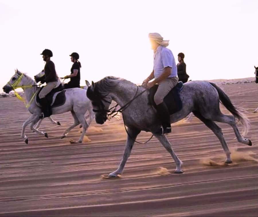 Doha: Arabian Horse Riding Experience –Sea or Desert Options - The seaside option offers a gentler kind of drama
