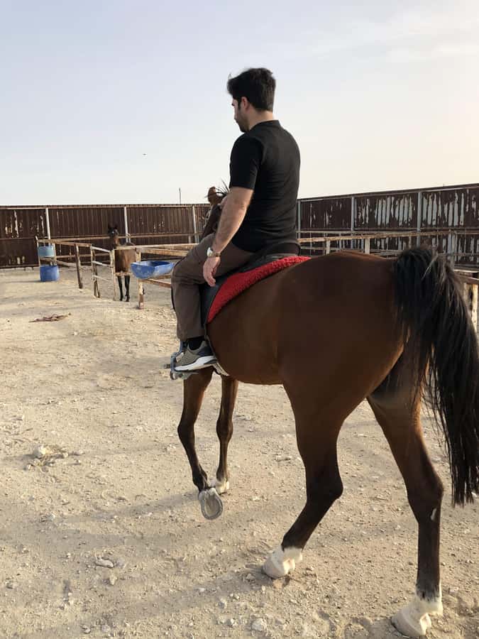 Doha: Arabian Horse Riding Experience –Sea or Desert Options - What the hour in the saddle feels like