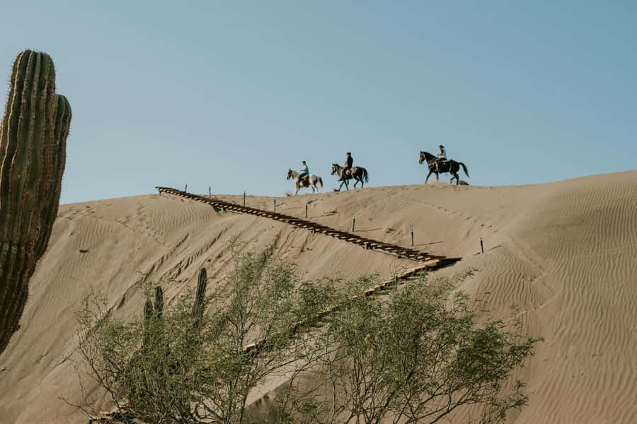 Doha: Arabian Horse Riding Experience –Sea or Desert Options - Friendly guides and a personal touch
