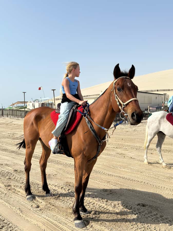 Doha: Arabian Horse Riding Experience –Sea or Desert Options - Who should book this experience
