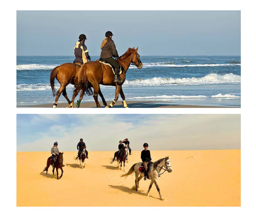 Doha: Arabian Horse Riding Experience –Sea or Desert Options - The Doha to Mesaieed drive takes about an hour