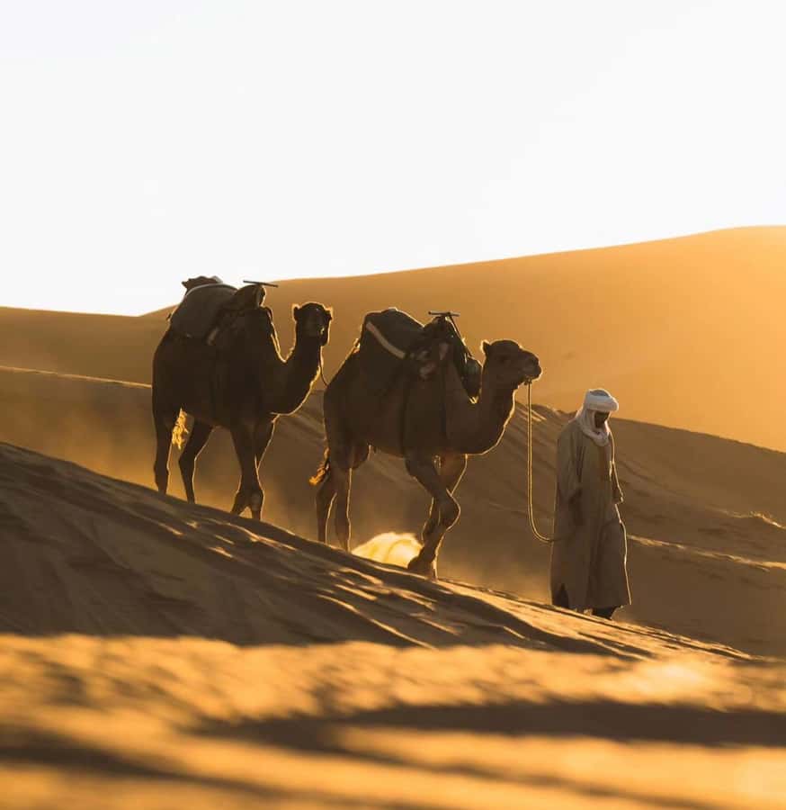 Doha: ATV/Desert Safari with Activities and Inland Sea Stop - The Inland Sea stop