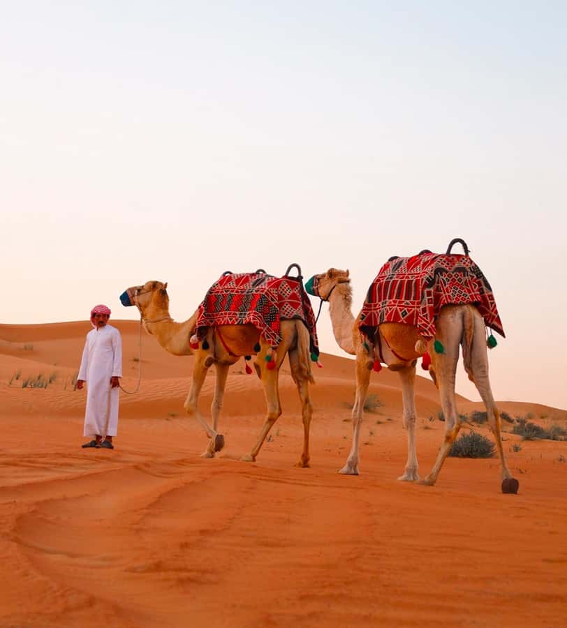 Doha: ATV/Desert Safari with Activities and Inland Sea Stop - Who should book it