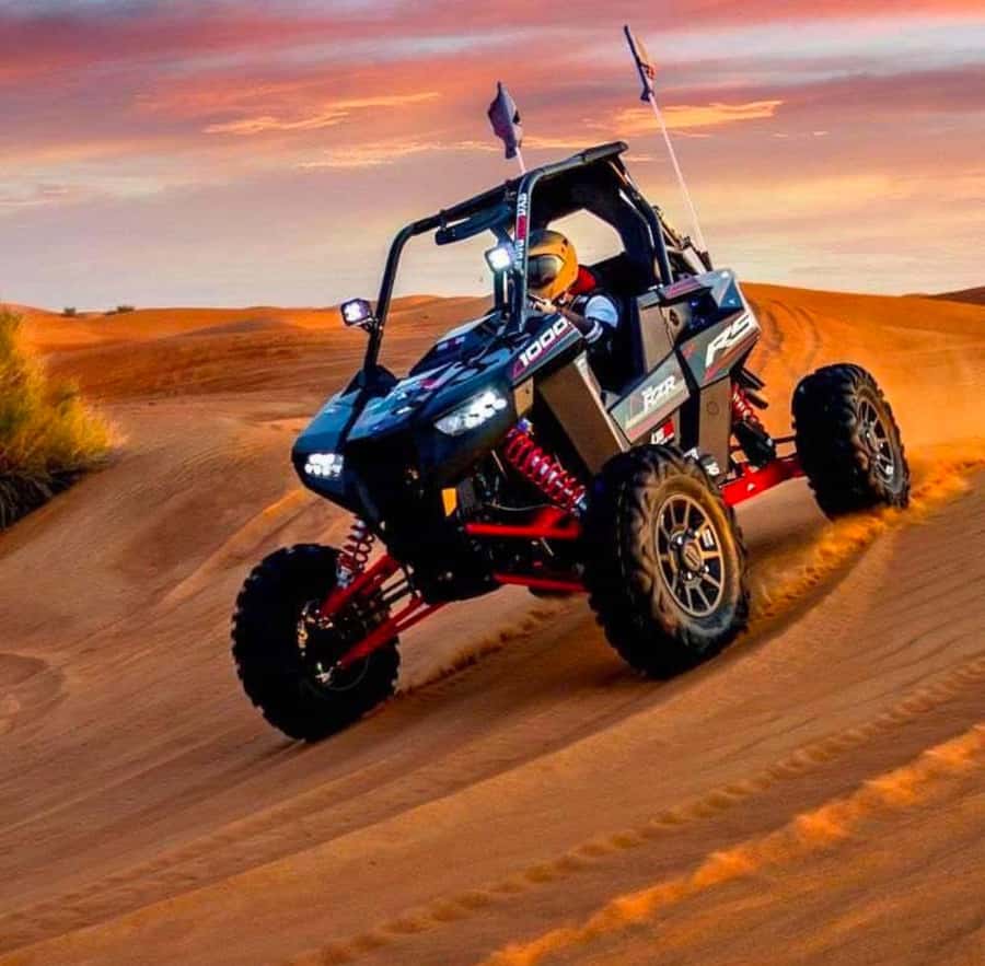 Doha: ATV Quad Bike and Buggy Desert Safari with Camel Ride - Meeting Bedouins, camels, and falcons