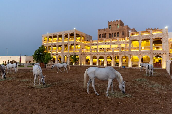 Doha City Highlights Guided Tour With Dhow Cruise - Timing, comfort, and who should book
