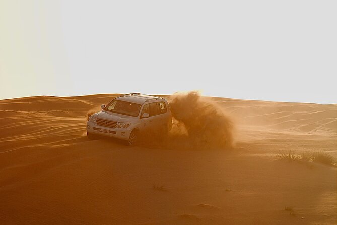 Doha Desert Adventure, Sandboarding, Dune Bashing,Inland Sea Tour - Camels, falcons, and what is actually included