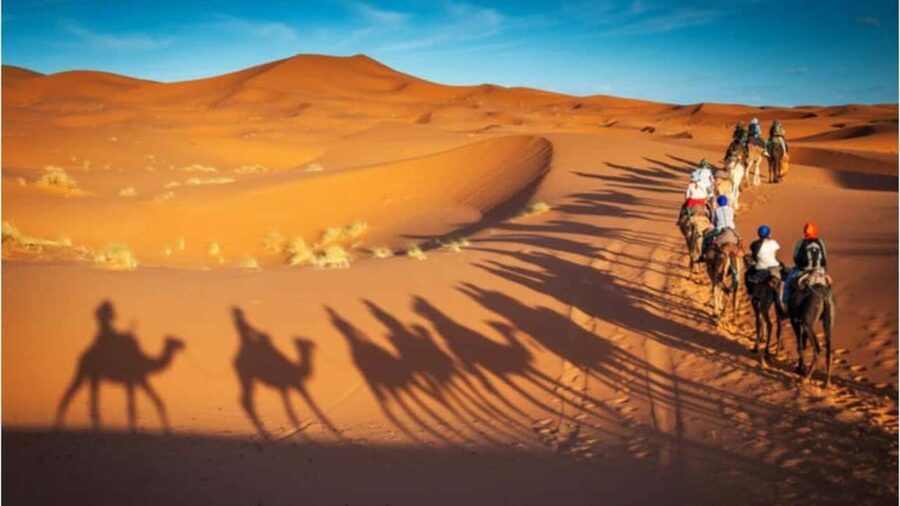 Doha Desert Excursion, Camel Ride, Inland sea, Sandboarding - Sandboarding on the dunes