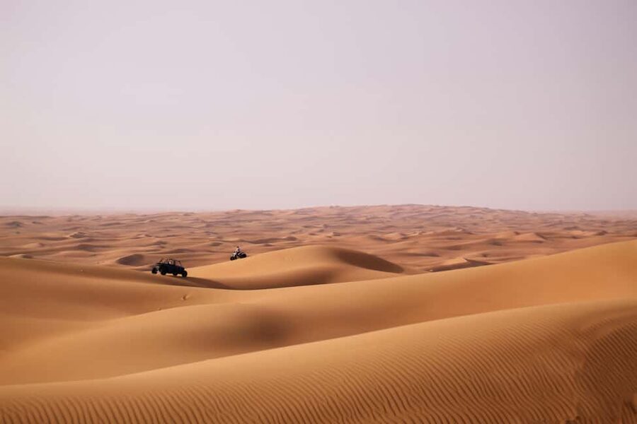 Doha Desert Excursion, Camel Ride, Inland sea, Sandboarding - Drinks included, meals not included