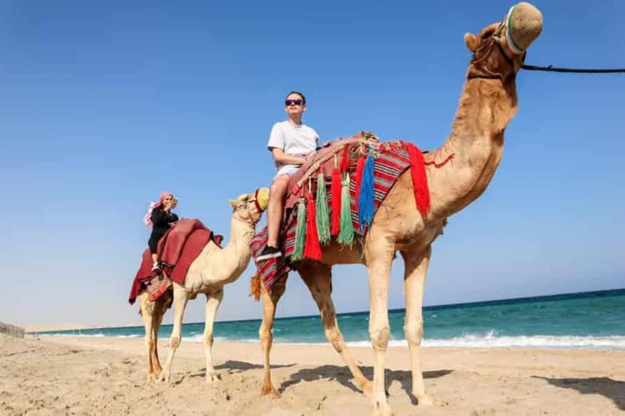 Doha Desert Safari, Camel Ride, Sandboarding & Inland Sea - A short camel ride with tea and coffee