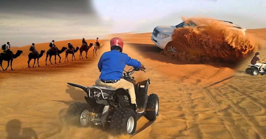 Doha Desert Safari, Camel Ride, Sandboarding & Inland Sea - Who will enjoy this four-hour format