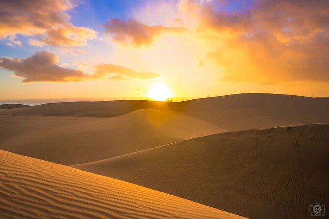 Doha Desert Safari Dune Bashing Camel Ride Sandboarding - Leaving Doha for Mesaieed’s dunes