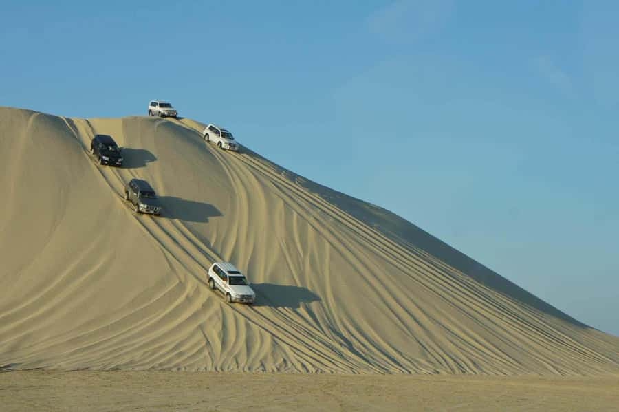 Doha: Desert Safari, Dune Bashing, Inland Sea With Transfers - Key points to know before you book