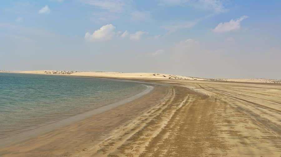 Doha: Desert Safari, Dune Bashing, Inland Sea With Transfers - Guides can shape the whole experience