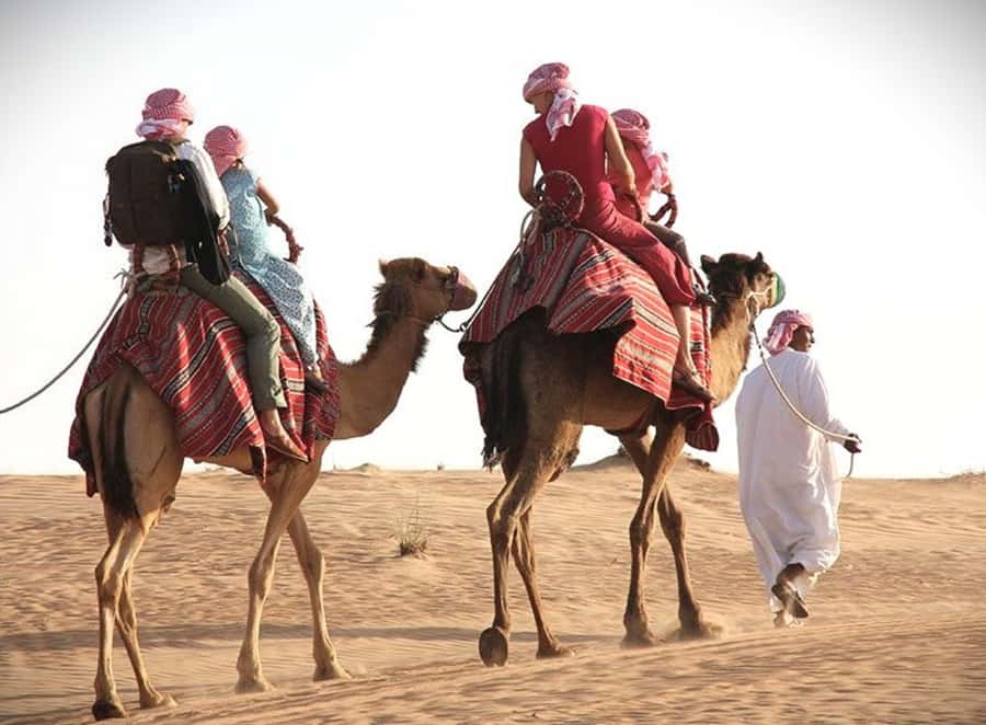 Doha: Desert Safari Dune Bashing, Sandboarding, & Camel Ride - Dune bashing in a 4x4, the real reason to go