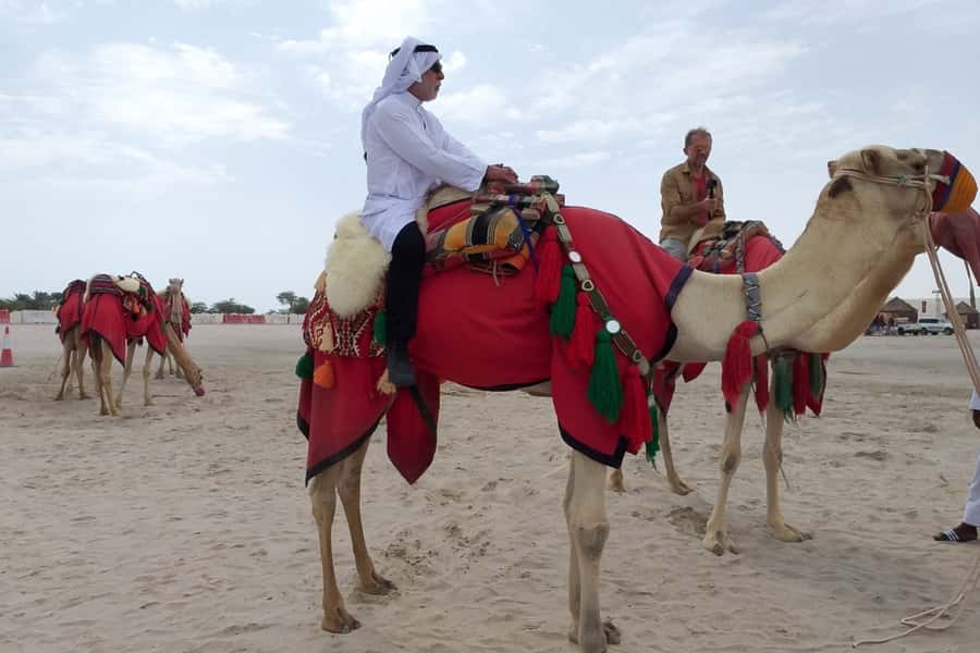 Doha: Desert Safari Dune Bashing, Sandboarding, & Camel Ride - The Inland Sea, where sand meets Gulf water