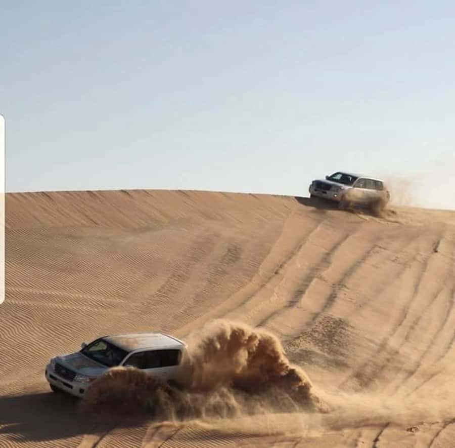 Doha: Desert Safari Dune Bashing, Sandboarding, & Camel Ride - Shared or private, choose the right version