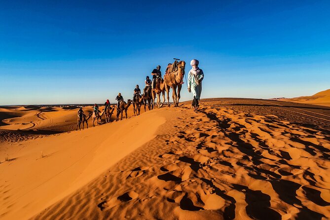 Doha Desert Safari Dune bashing,Sandboarding,CamelRide,Inland Sea - Sandboarding and the practical side of the dunes