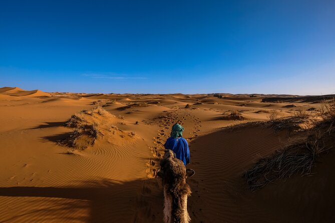 Doha Desert Safari Dune bashing,Sandboarding,CamelRide,Inland Sea - The Inland Sea near the Saudi border
