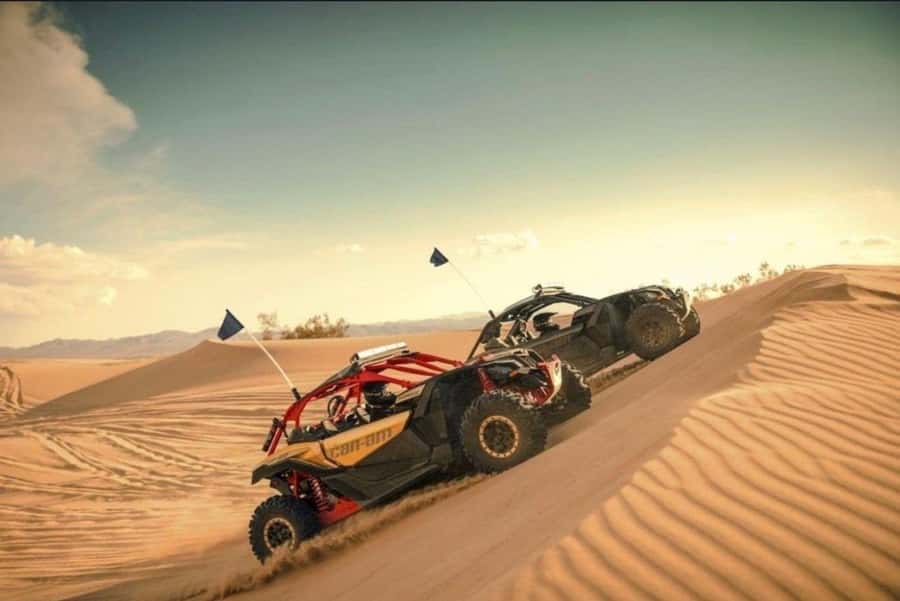 Doha: Desert Safari, Quad Bike, Camel Ride & Inland Sea Tour - Guide service and the personal touch