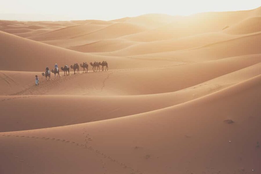 Doha: Desert Safari, Sandboarding, Camel Ride and Inland Sea - Reaching Qatar’s Inland Sea