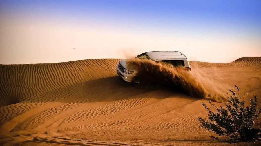 Doha: Desert Safari, Sandboarding, Camel Ride and Inland Sea - The 50-minute ride to Mesaieed