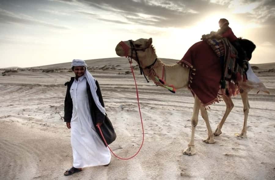 Doha Desert Safari: Sandboarding, Camel Ride & Swimming Fun - Key points to know before you book