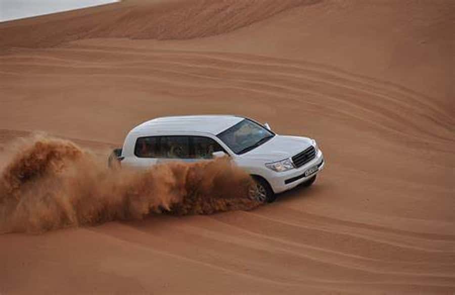 Doha Desert Safari: Sandboarding, Camel Ride & Swimming Fun - Small group or private 4x4