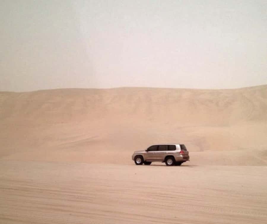 Doha Desert Safari: Sandboarding, Camel Ride & Swimming Fun - A short camel ride at 24 Beach Road