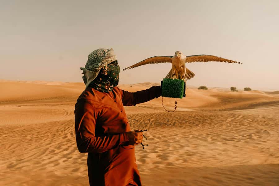 Doha: Desert Safari, Sandboarding, Dune Bashing & Inland Sea - Guides who shape the experience
