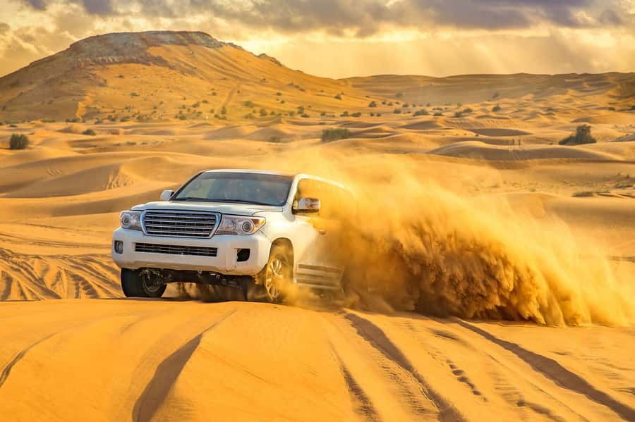 Doha: Desert Safari with Camel Ride Family Friendly Tour - Price, food, drinks, and what you really receive