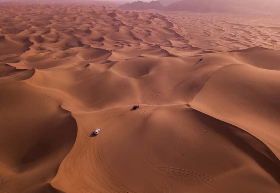 Doha: Desert Safari with Quad Bike, Sandboard & Camel Ride - Practical tips for a smoother desert day