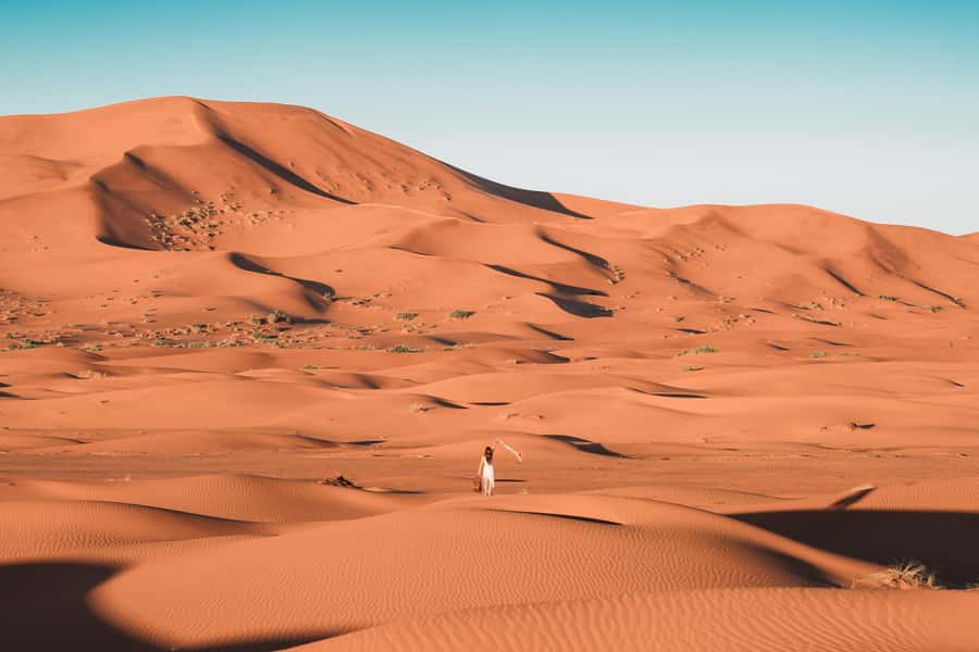 Doha: Desert Safari with Quad Bike, Sandboard & Camel Ride - What the $24 price really covers
