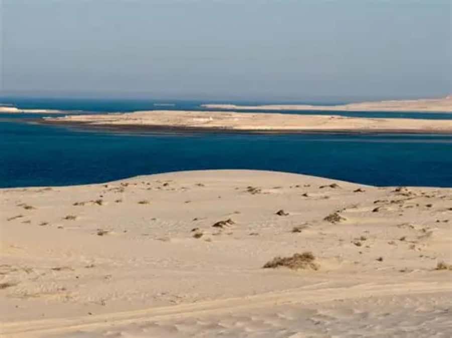 Doha: DesertSafari with Quad Bike, Camel Ride & Sandboarding - A short camel ride with Arabic tea