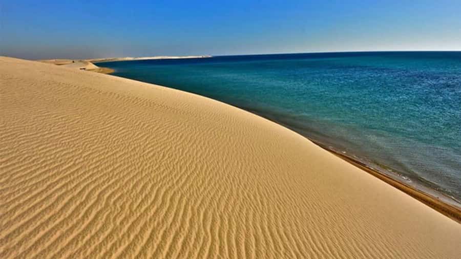 Doha: DesertSafari with Quad Bike, Camel Ride & Sandboarding - Dune bashing is the main event