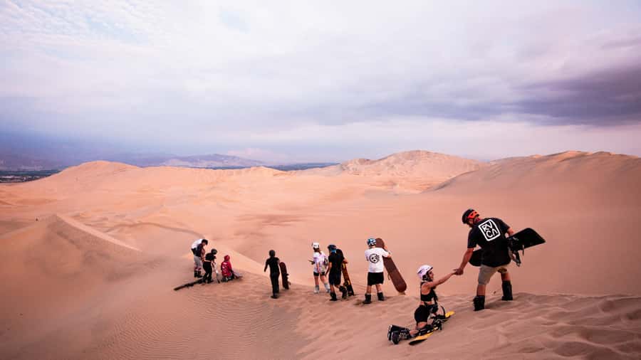Doha: Dune Bashing Safari, Falcon, Camel, ATV, Sandboarding - Key points to know before you book
