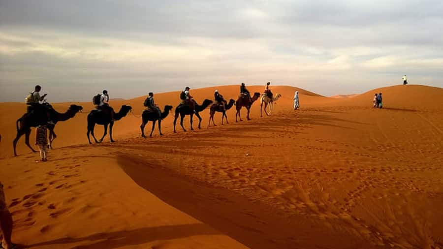 Doha: Dune Bashing Safari, Falcon, Camel, ATV, Sandboarding - What is included, and what costs extra