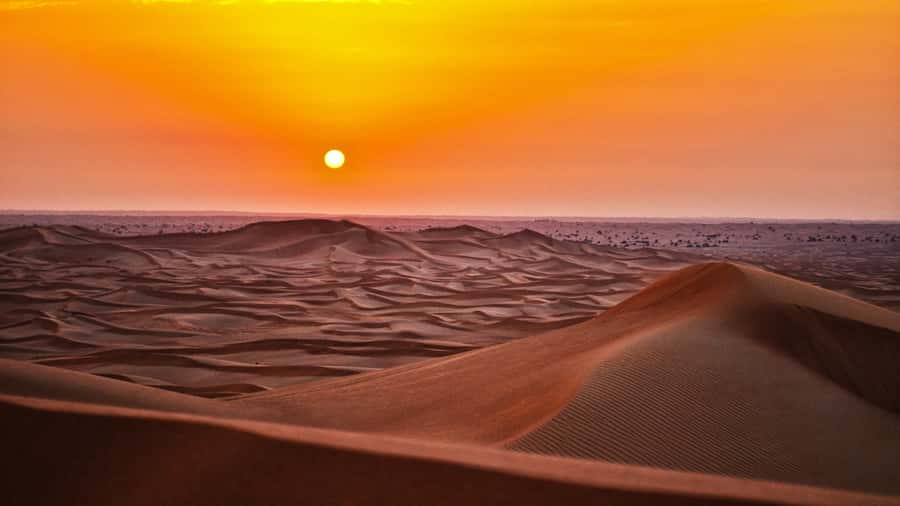 Doha: Dune Bashing Safari, Falcon, Camel, ATV, Sandboarding - Sealine prepares you for the sand