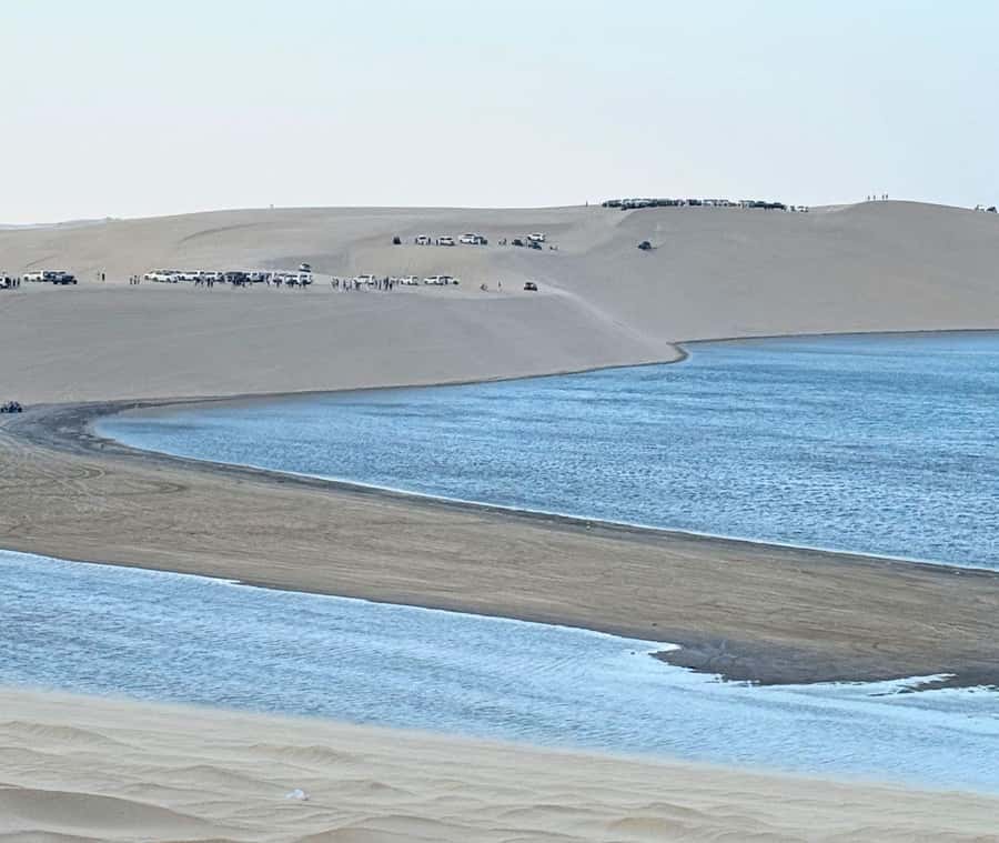 Doha: Guided Desert Safari Tour with Pickup & Drop Service - Key points to know before you book